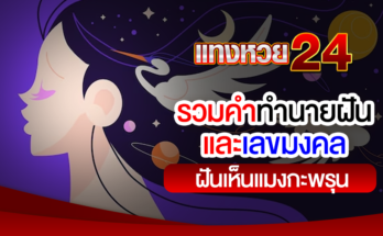 ฝันเห็นแมงกะพรุน