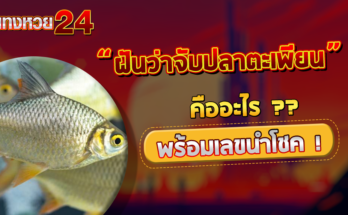 ฝันว่าจับปลาตะเพียน
