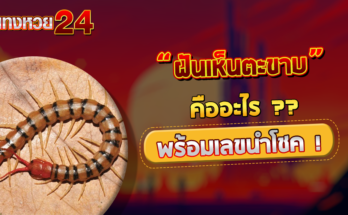ฝันเห็นตะขาบ