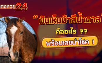 ฝันเห็นม้าสีน้ำตาล