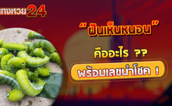 ฝันเห็นหนอน