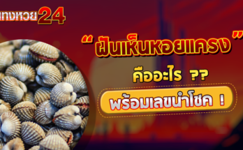 ฝันเห็นหอยแครง