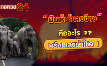 ฝันเห็นโขลงช้าง