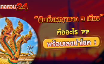 ฝันเห็นพญานาค 3 เศียร