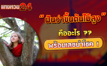 ฝันว่าขึ้นต้นไม้สูง