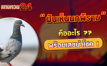 ฝันเห็นนกพิราบ